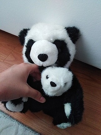 oyuncak panda 