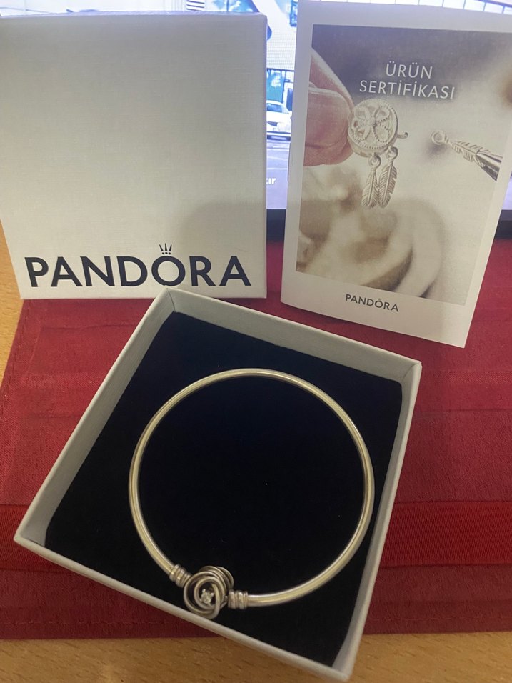 Pandora momenta encircied clasp bangle - Görsel 4