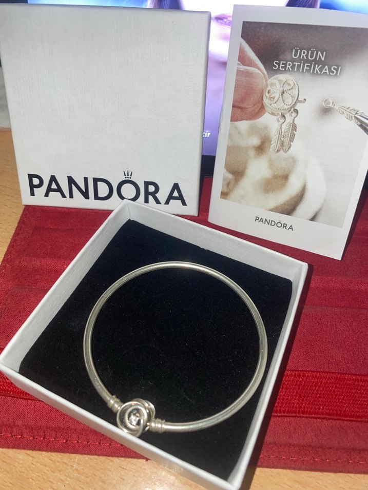 Pandora momenta encircied clasp bangle - Görsel 3