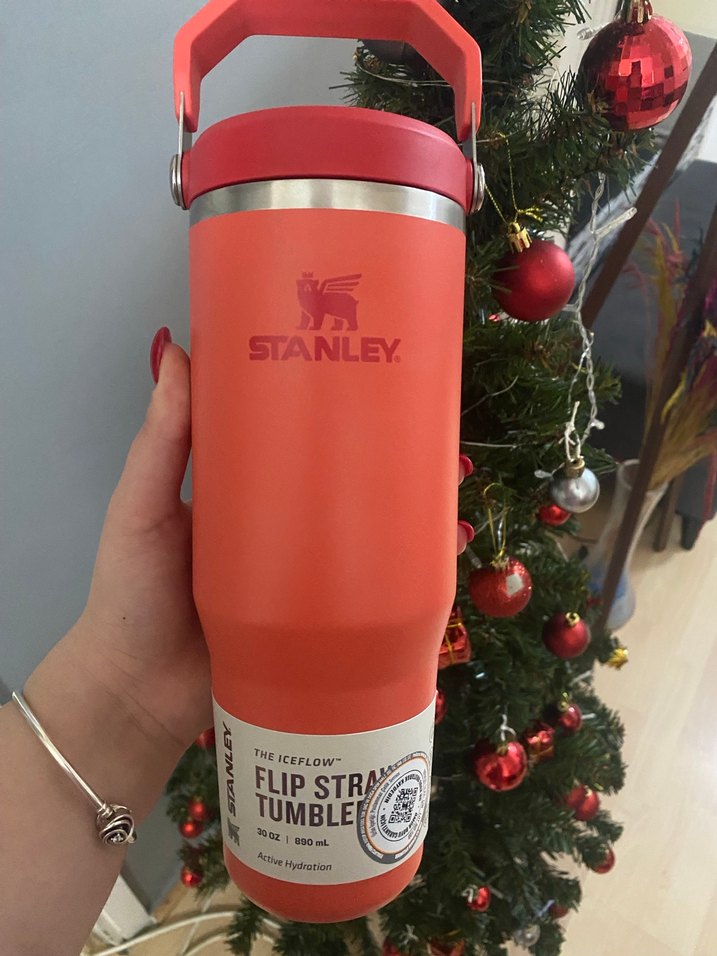 Stanley Kırmızı Parlak Çocuk Termosu - Görsel 2