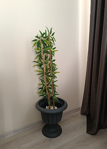 Ikea Bambu ağacı