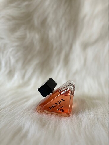 Prada Pradoxe
