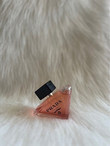 Prada Prada Paradoxe