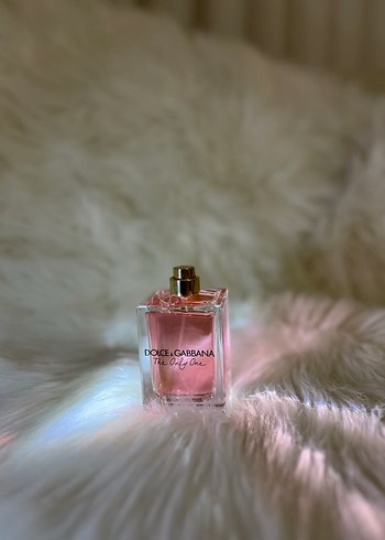 dolce-gabbana