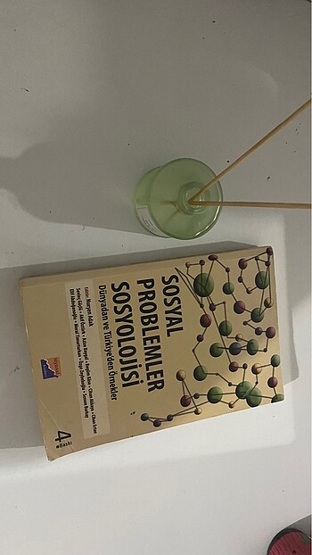 Sosyal Problemler Sosyolojisi