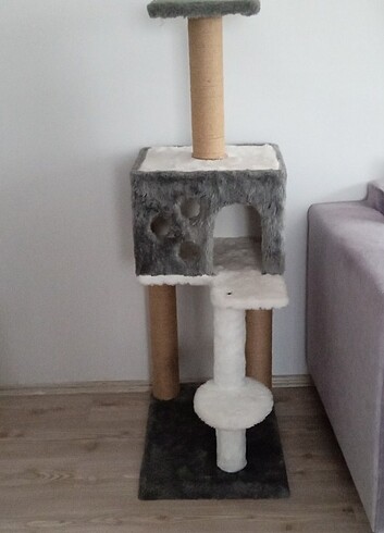 Kedi Evi 