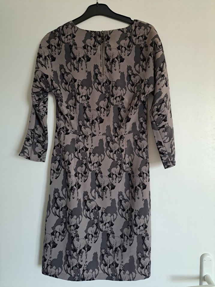 At Baskılı Kadın Elbise - Görsel 3