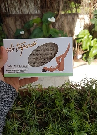 Eda Taşpınar At Kılı Fırça 