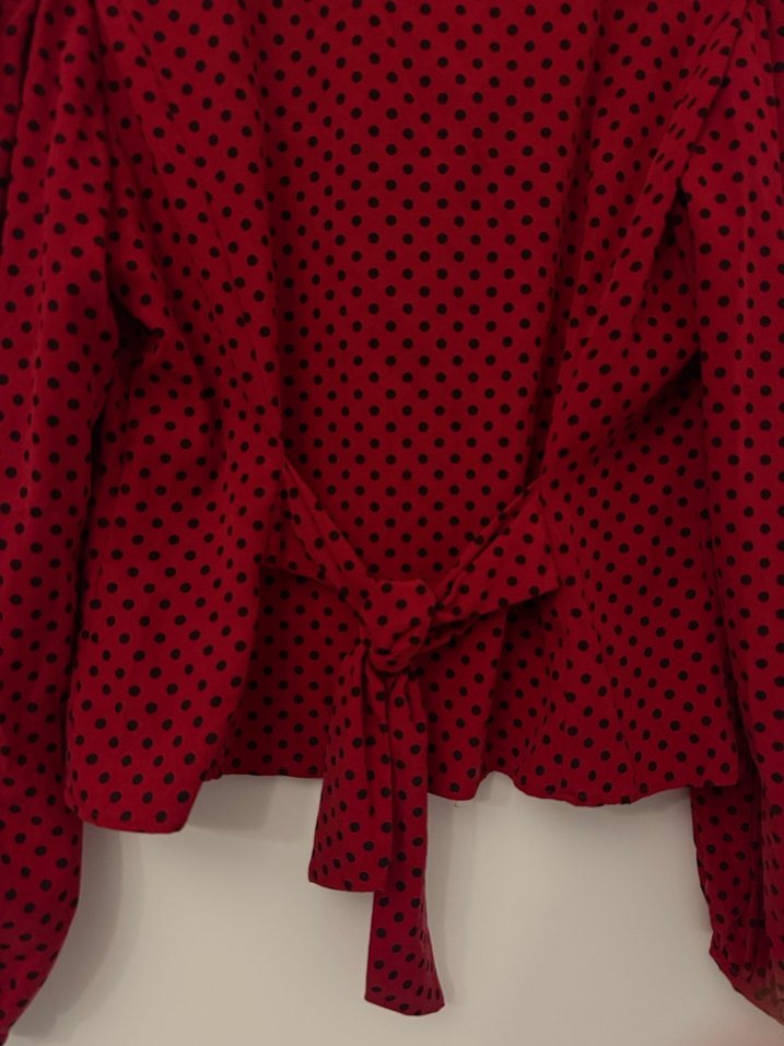 Zara Marka Kırmızı Puantiyeli V Yakalı Uzun Kollu Bluz - Görsel 4