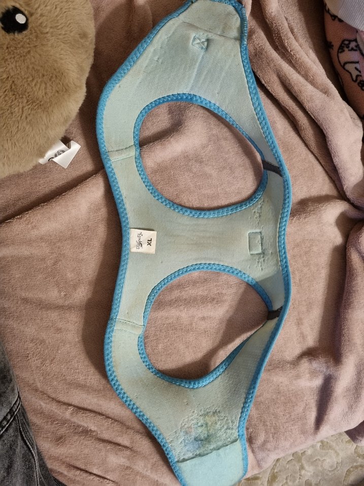 Tailpetz Renkli Desenli Köpek Göğüs Tasması - Görsel 4