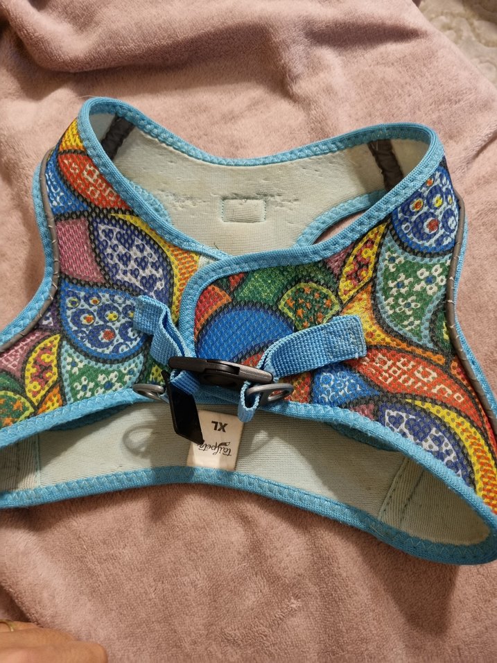 Tailpetz Renkli Desenli Köpek Göğüs Tasması - Görsel 2