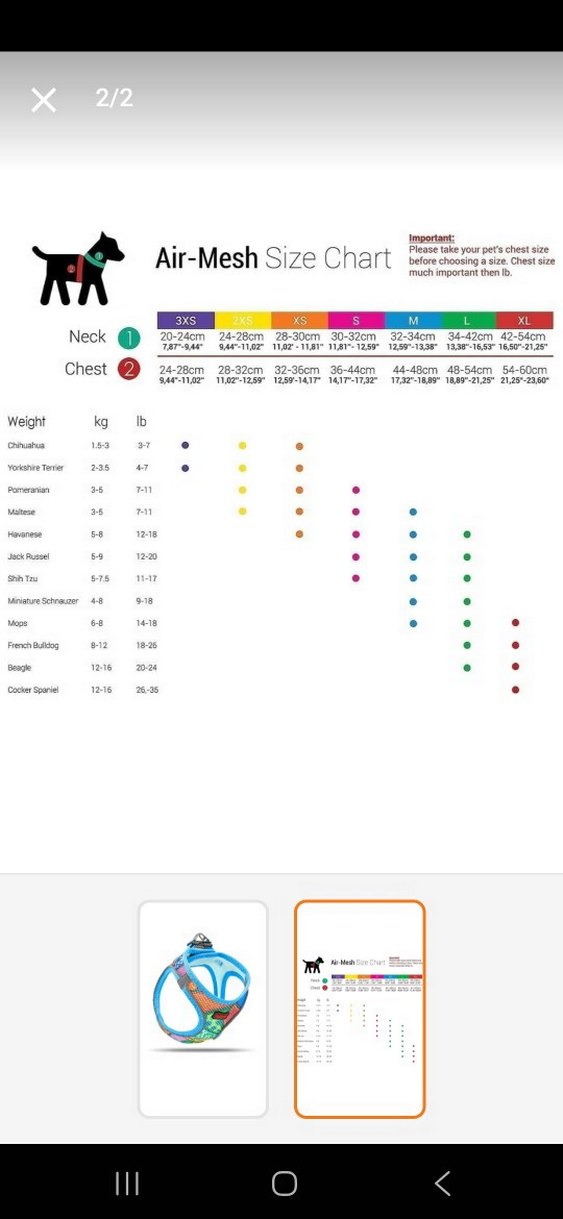 Tailpetz Renkli Desenli Köpek Göğüs Tasması - Görsel 3