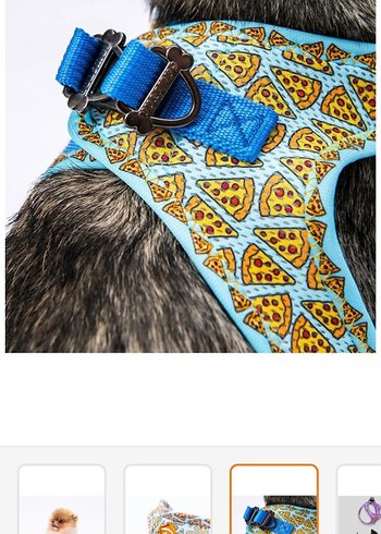 Pawstar Pizza XL Bağlamalı Bohem Köpek Tasması - Görsel 9