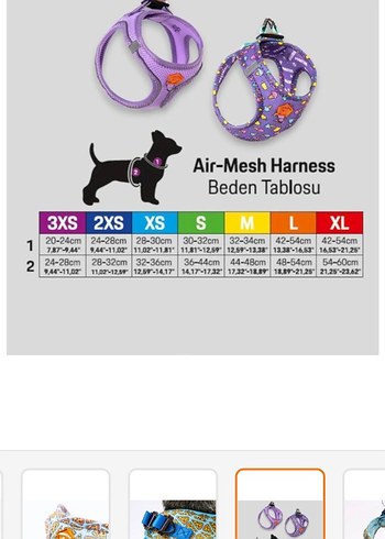 Pawstar Pizza XL Bağlamalı Bohem Köpek Tasması - Görsel 5