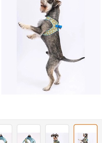 Pawstar Pizza XL Bağlamalı Bohem Köpek Tasması - Görsel 8