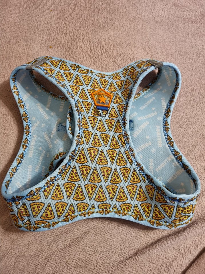 Pawstar Pizza XL Bağlamalı Bohem Köpek Tasması - Görsel 3