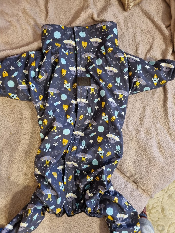 Renkli Sokak Stili Köpek Tulumu - Görsel 2