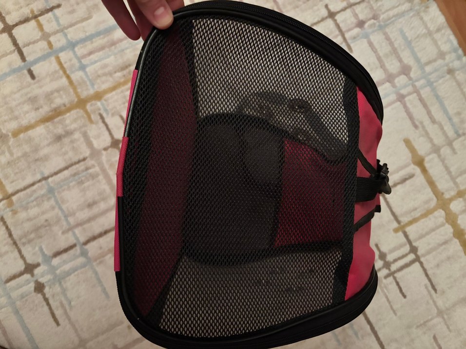 Bordo Şeffaf Taşıma Çantası - Görsel 4