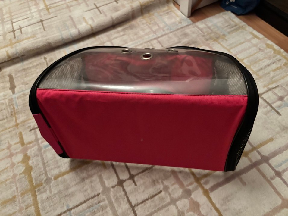 Bordo Şeffaf Taşıma Çantası - Görsel 5