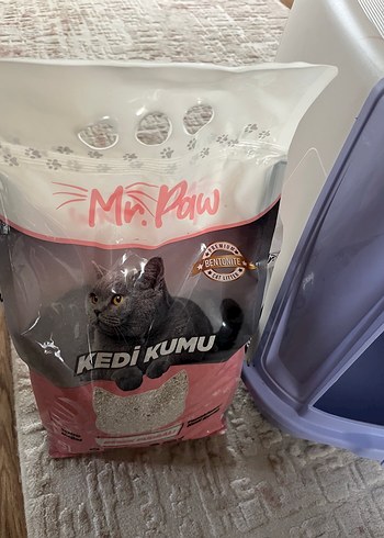 Beyaz Gri Kedi Tırmalama Tahtası - Görsel 4