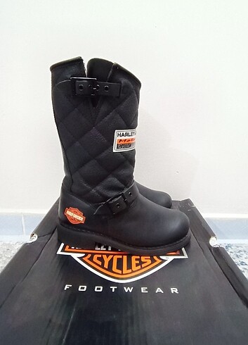 Harley davidson