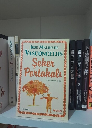Kitap