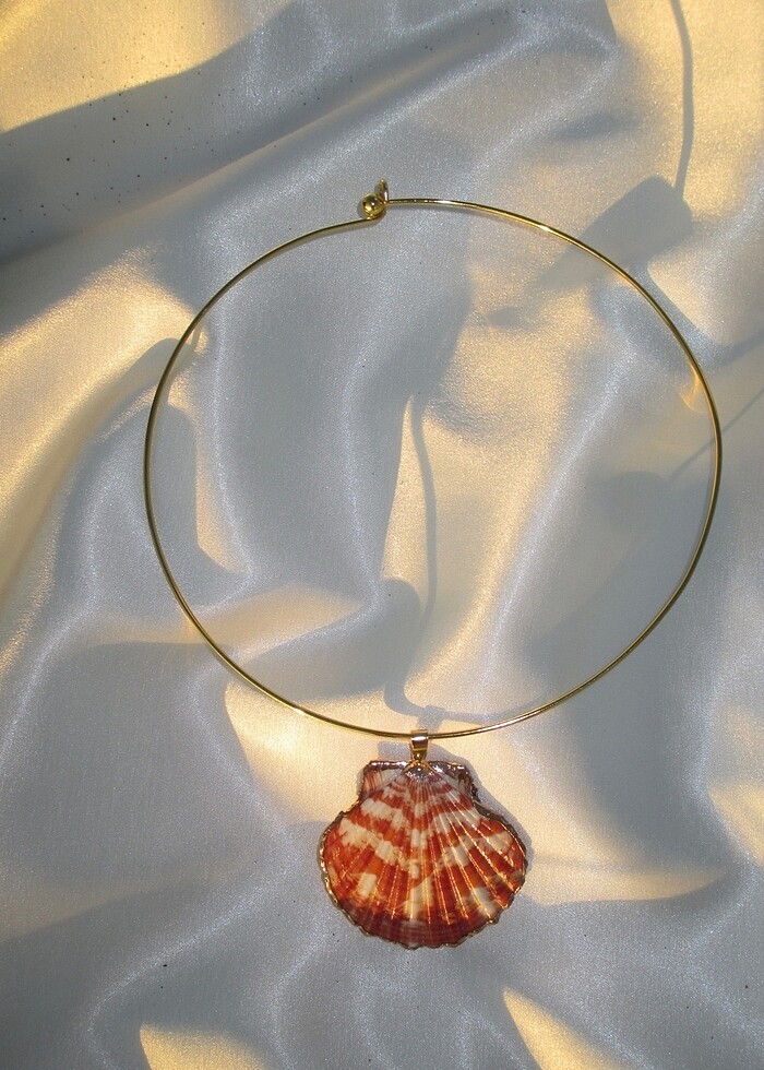 Deniz kabuğu kolye - Görsel 2