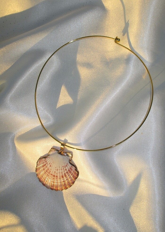 Deniz kabuklu kolye - Görsel 2