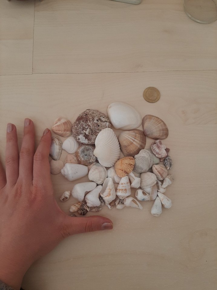 Beyaz Tonlarda Deniz Kabuğu Seti - Görsel 2