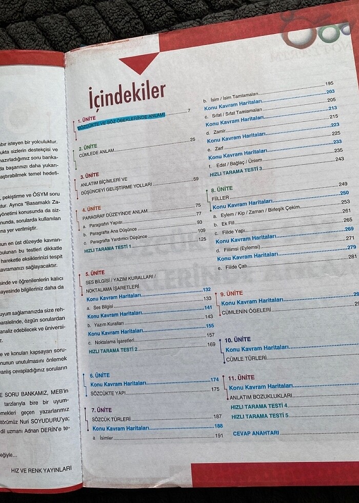 Hız ve Renk türkçe soru bankası - Görsel 3