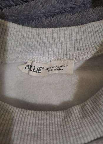 crop Gri Kadın Bisiklet Yaka Sweatshirt - Görsel 2