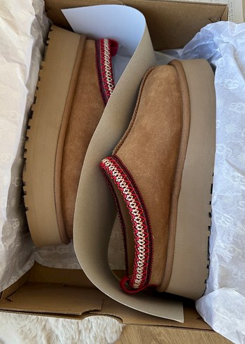 38 Beden Ugg tazz chesnut - RL taba cifttarafli Medium