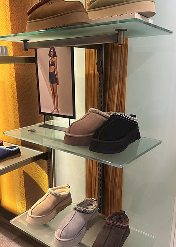 Orijinal Ugg tazz dusted cocoa + rl kemer