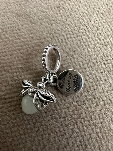 Pandora Pandora charm