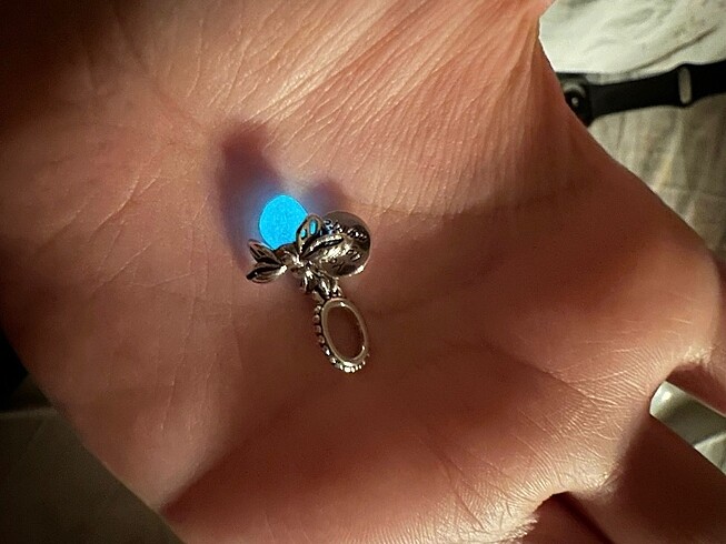 Beden gri Renk Pandora charm