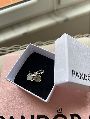 Pandora Pandora charm