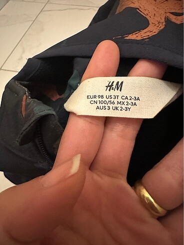 H&M H&M dinazorlı mont