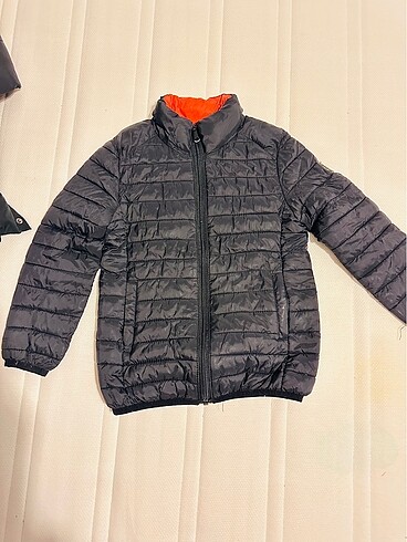 Koton mont