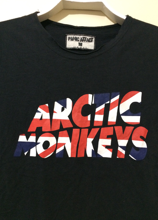 Diğer Arctic monkeys