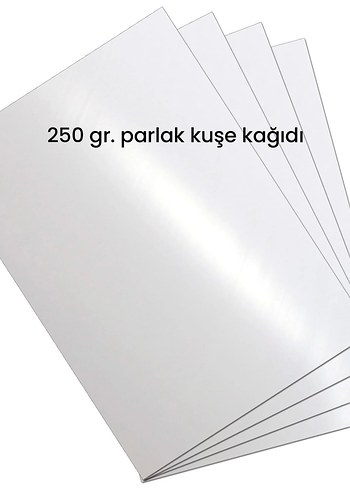 Kedi temalı wc posteri