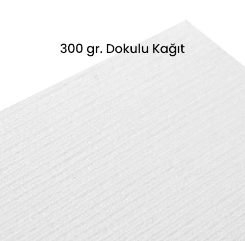 Kedi temalı wc posteri - Görsel 3