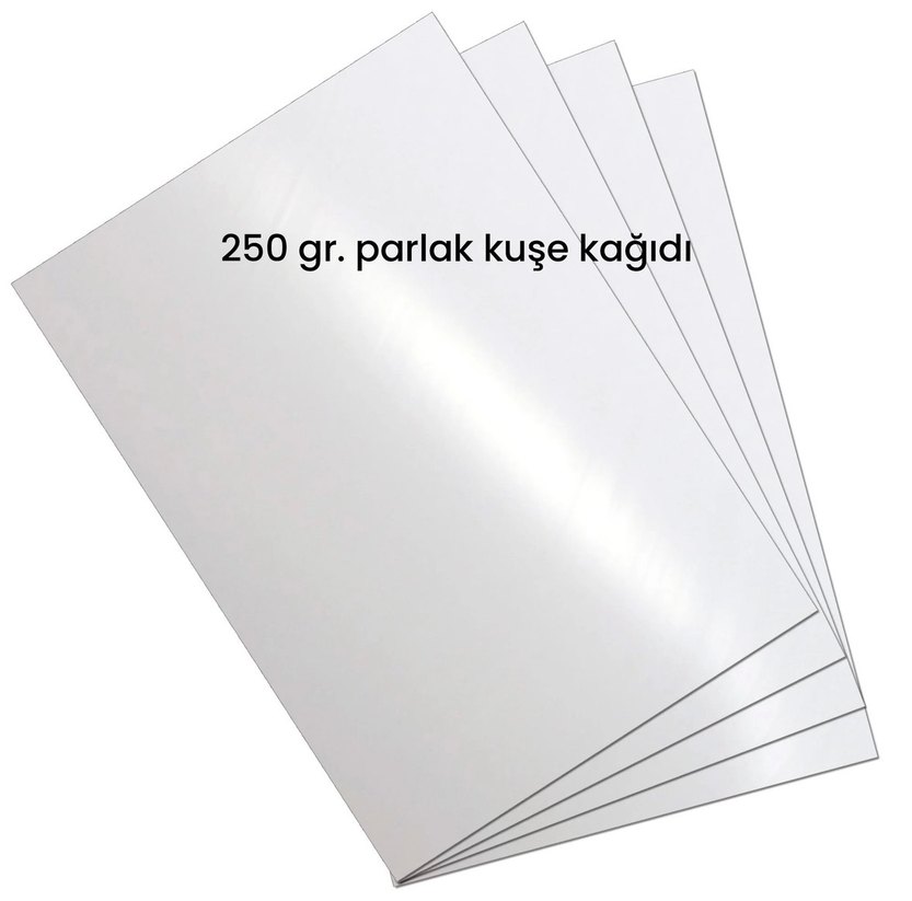 Paltolu kediler poster - Görsel 3