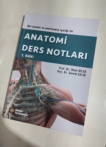 Anatomi ders notları