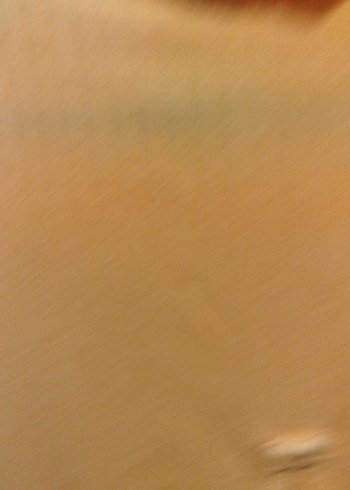 Turuncu Yüksek Yakalı Kısa Kollu Tulum - Görsel 3