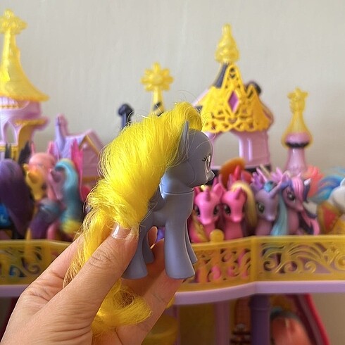 Pony oyuncak lily