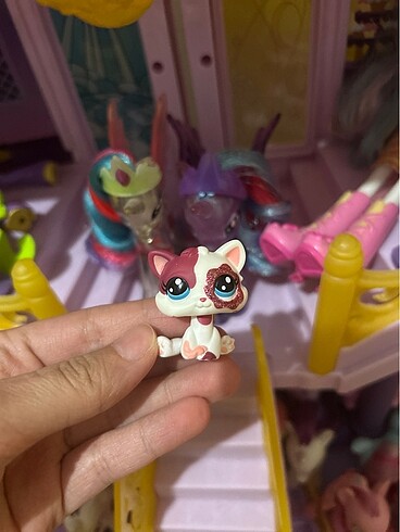 Miniş