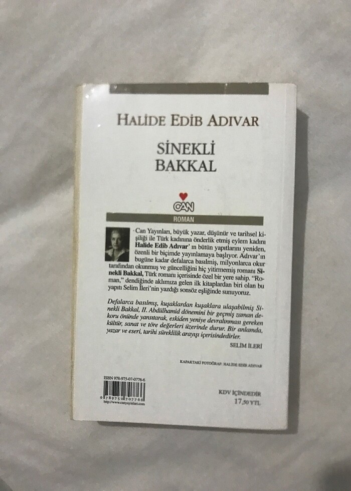 sinekli bakkal halide edip adıvar - Görsel 2