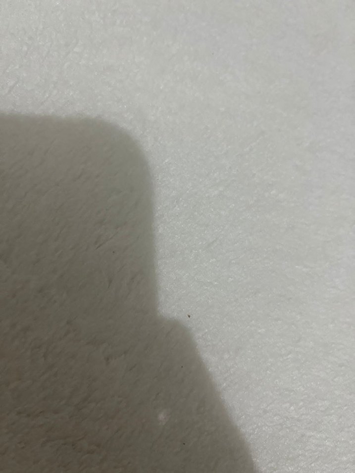 Beyaz Modern Düz Peluş Halı - Görsel 3