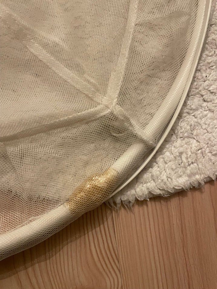 Beyaz sineklik yatak üstü - Görsel 2