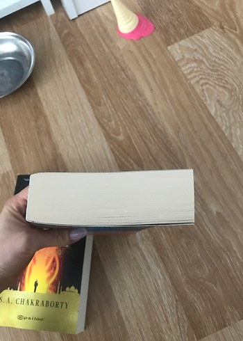 S.A. Chakraborty - Pirinç Kenti ve Pakir Krallığı - Görsel 6